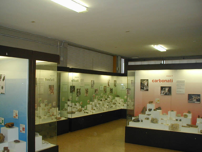 Museo civico di scienze naturali (museo) - Brescia (BS) 