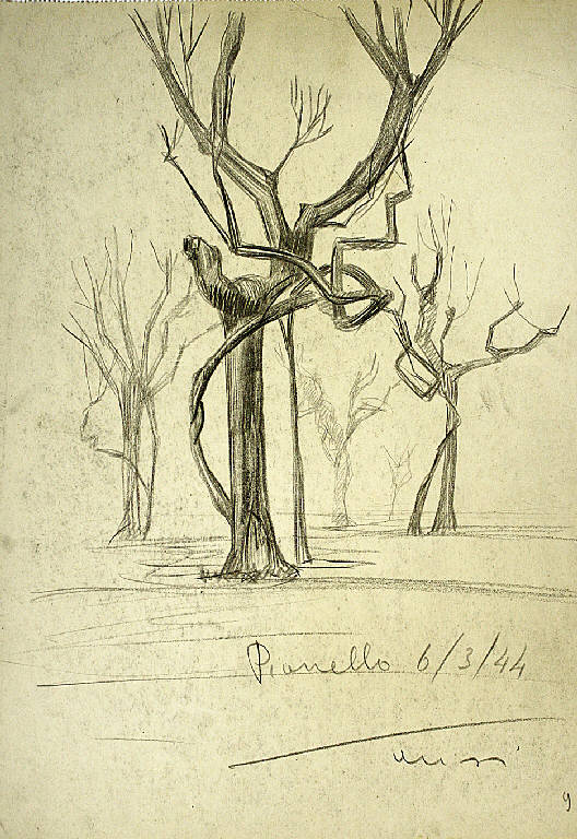 Pianello alberi, Veduta di alberi a Pianello (Perugia) (disegno) di Parisi, Domenico detto Ico Parisi (secondo quarto sec. XX)