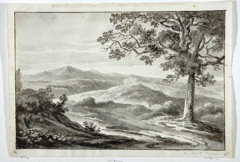 PAESAGGIO CON ALBERO (disegno) di Monti Tiziano (secc. XVIII/ XIX)