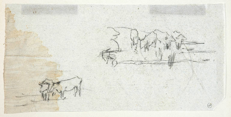 Paesaggio/ Animali (disegno) di Bertelli Luigi (secc. XIX/ XX)