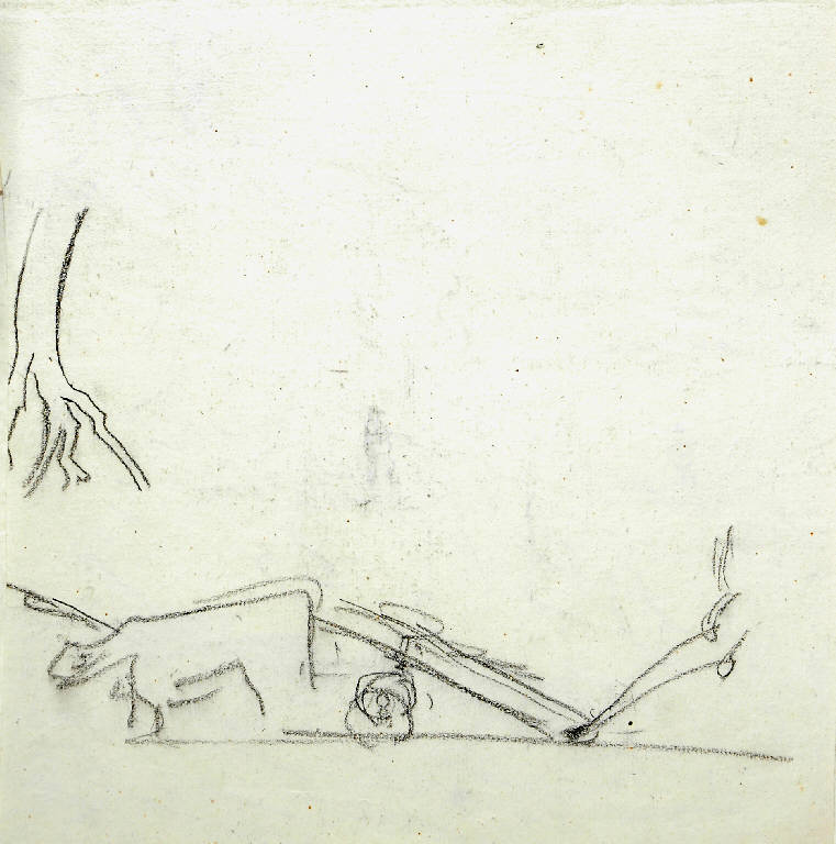 Animali (disegno) di Bertelli Luigi (secc. XIX/ XX)