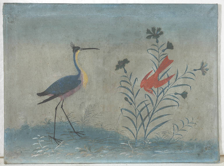 Animali/ Fiori (disegno) di Raineri Vittorio (sec. XIX)