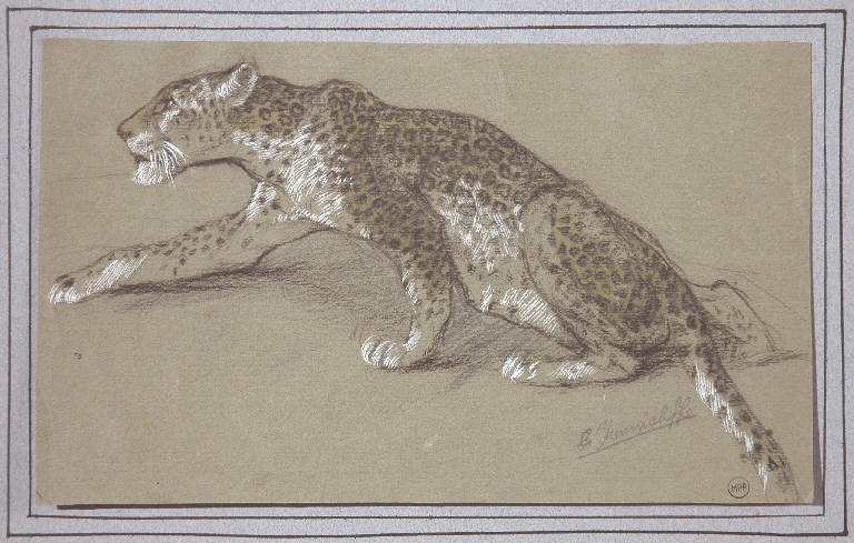 Animale (disegno) - ambito belga (sec. XIX)