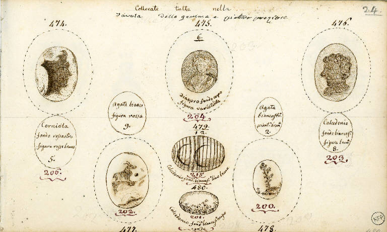 Teste d'uomini/ Busto femminile/ Animale/ Fiore (disegno) di Vimercati Sozzi Paolo (sec. XIX)