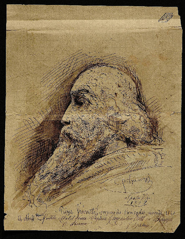 Testa d'uomo/ Figura maschile (disegno) di Speluzzi Gaetano (sec. XIX)