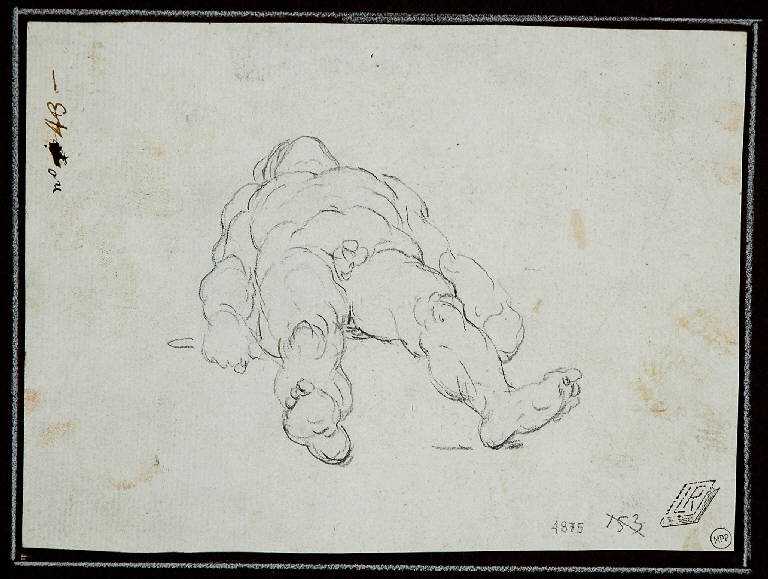 Nudo virile sdraiato (disegno) di Robusti Jacopo detto Tintoretto (scuola) (fine/inizio secc. XVI/ XVII)