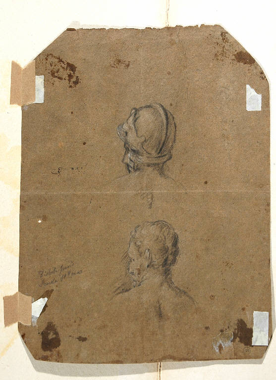 Studi di teste (disegno) di Consetti Antonio (attr.) (prima metà sec. XVIII)