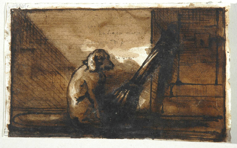 CANE (disegno) di Duranti Fortunato (fine/inizio secc. XVIII/ XIX)