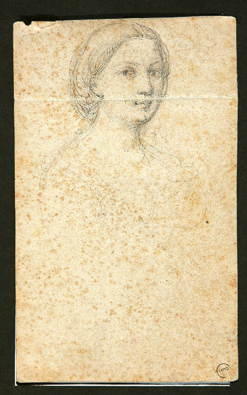 RITRATTO FEMMINILE (disegno) di Carnovali Giovanni detto Piccio (metà sec. XIX)