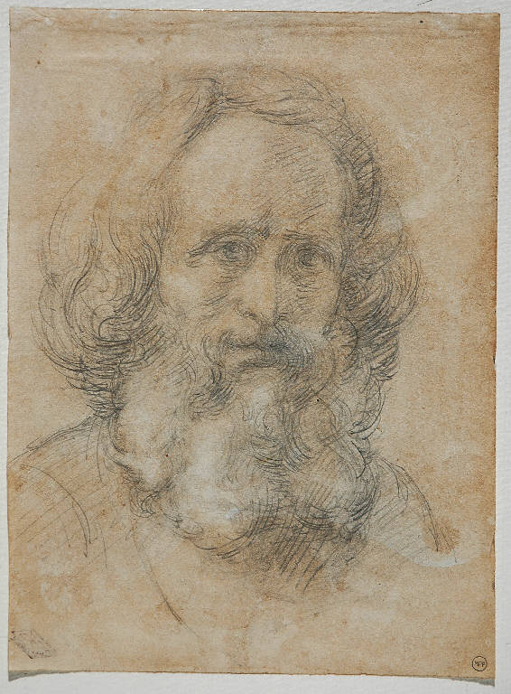 AUTORITRATTO DI GIOVANNI CARNOVALI DETTO IL PICCIO (disegno) di Carnovali Giovanni detto Piccio (terzo quarto sec. XIX)