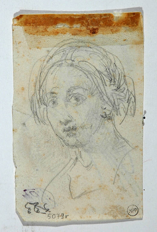 TESTA DI DONNA (disegno) di Carnovali Giovanni detto Piccio (secondo quarto sec. XIX)