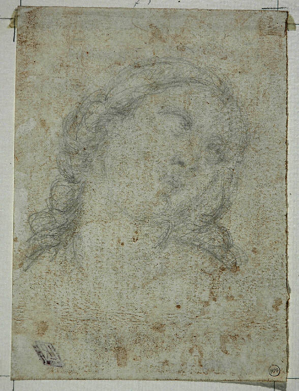 TESTA DI DONNA (disegno) di Carnovali Giovanni detto Piccio (attr.) (terzo quarto sec. XIX)