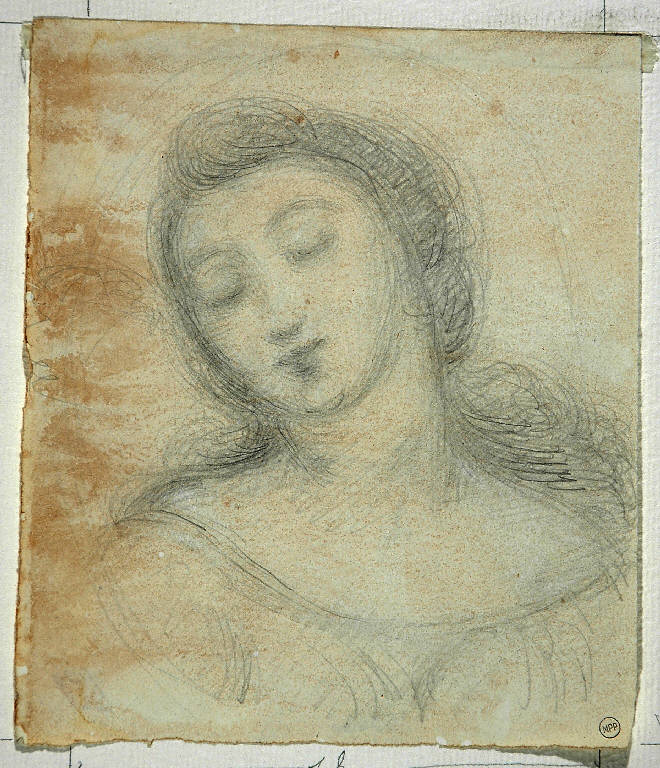 TESTA DI DONNA (disegno) di Carnovali Giovanni detto Piccio (attr.) (terzo quarto sec. XIX)