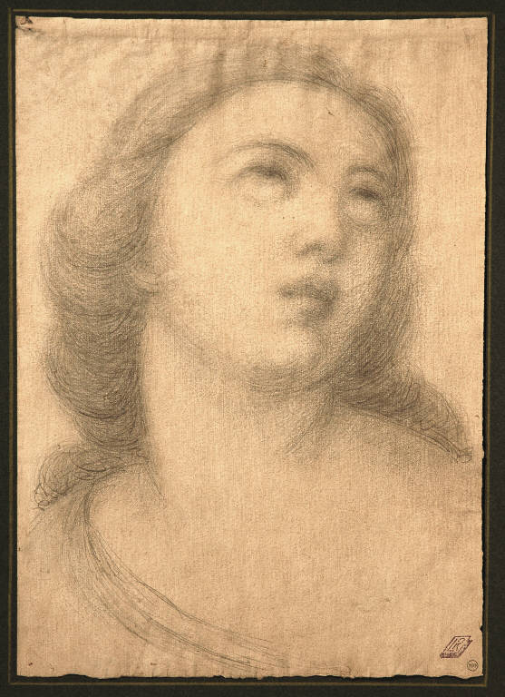TESTA DI DONNA (disegno) di Carnovali Giovanni detto Piccio (sec. XIX)