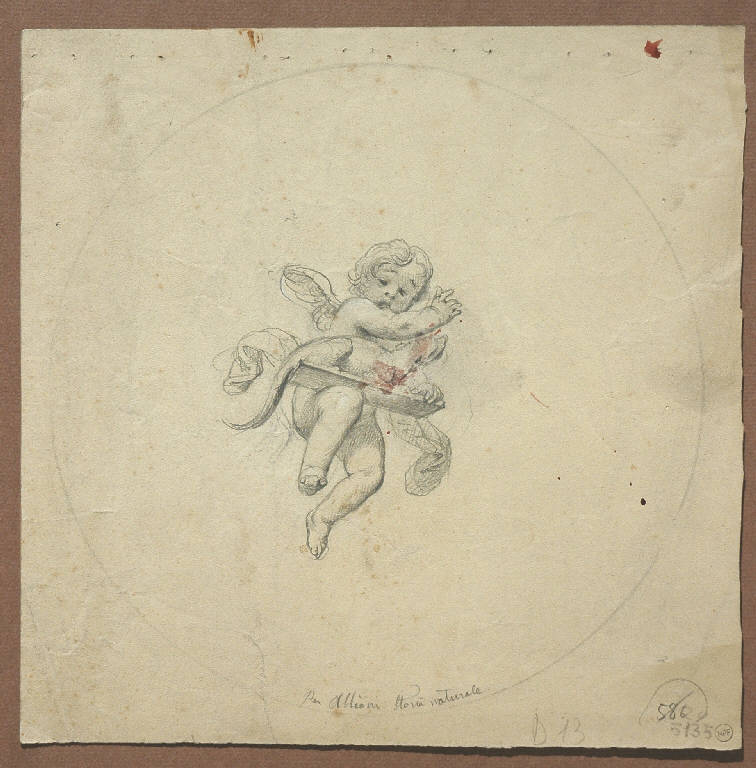 Angioletto (disegno) di Morgari Paolo Emilio il Vecchio (attr.) (metà sec. XIX)