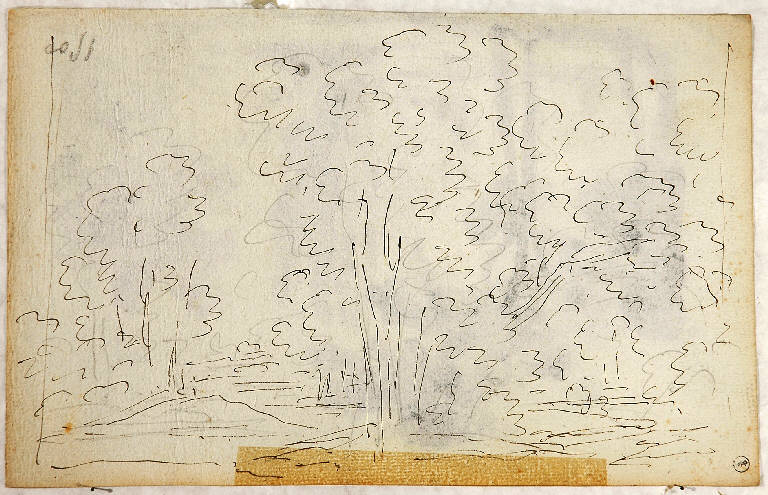 Schizzo per scena raffigurante un bosco, PAESAGGIO (disegno) di Vacca Luigi (sec. XIX)