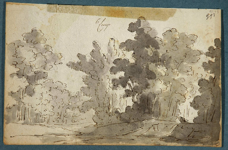 Scena raffigurante un bosco, PAESAGGIO (disegno) di Vacca Luigi (sec. XIX)