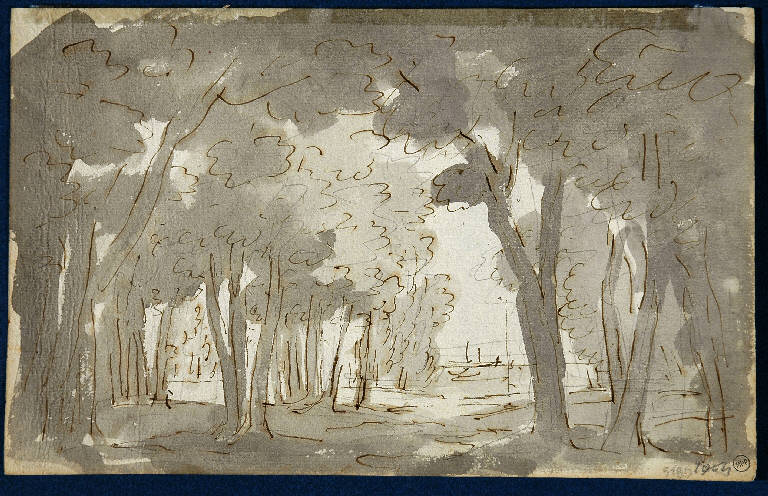 Scena raffigurante un bosco, PAESAGGIO CON ALBERI (disegno) di Vacca Luigi (sec. XIX)