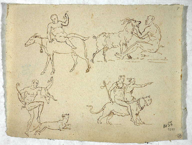 Quattro studi di figure con animali, BACCO E ARIANNA (disegno) di Morgari Paolo Emilio il Vecchio (attr.) (metà sec. XIX)