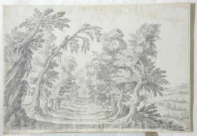 Viale alberato, Paesaggio con alberi (disegno) - ambito Italia centro-settentrionale (seconda metà sec. XVIII)