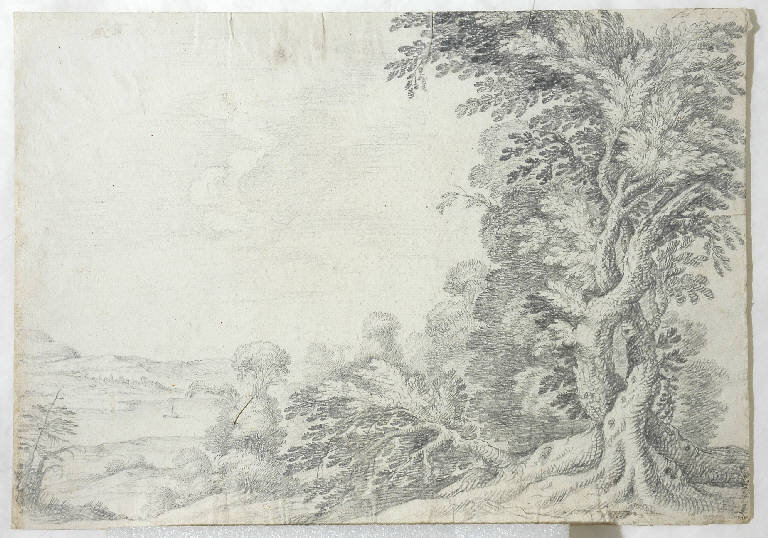 Paesaggio con grande pianta, Paesaggio con alberi (disegno) - ambito Italia centro-settentrionale (seconda metà sec. XVIII)