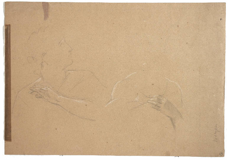 Studi di busti femminili, Figure (disegno) - ambito italiano (ultimo quarto secc. XIX/ XX)