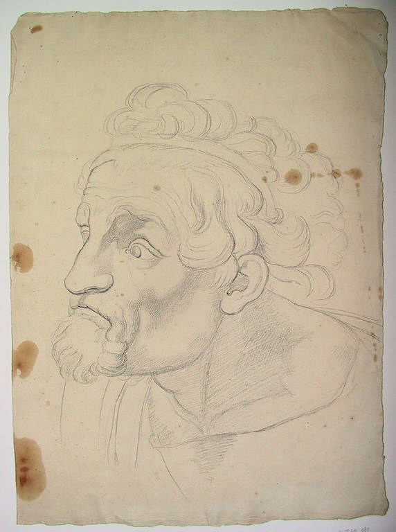 Testa barbuta (disegno) di Ligari Angelo (sec. XIX)