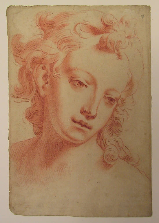 Ritratto maschile (disegno) di Ligari Giovanni Pietro (sec. XVIII)