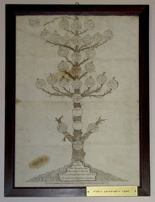 Albero genealogico (disegno) di Ligari Angelo (sec. XIX)