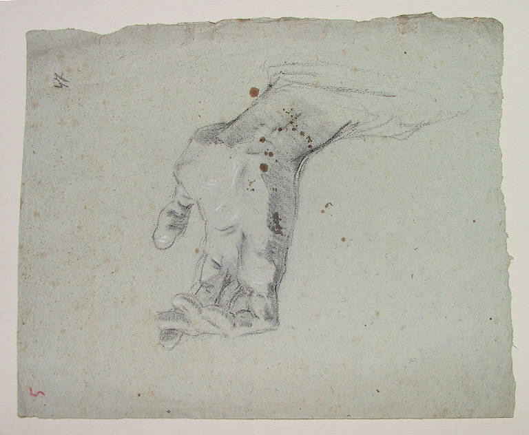 Mano (disegno) di Ligari Cesare (sec. XVIII)
