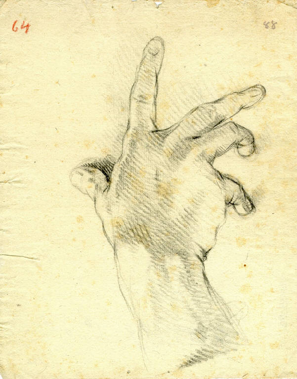 Mano (disegno) di Ligari Giovanni Pietro; Ligari Cesare (secondo quarto||terzo quarto sec. XVIII||sec. XVIII)