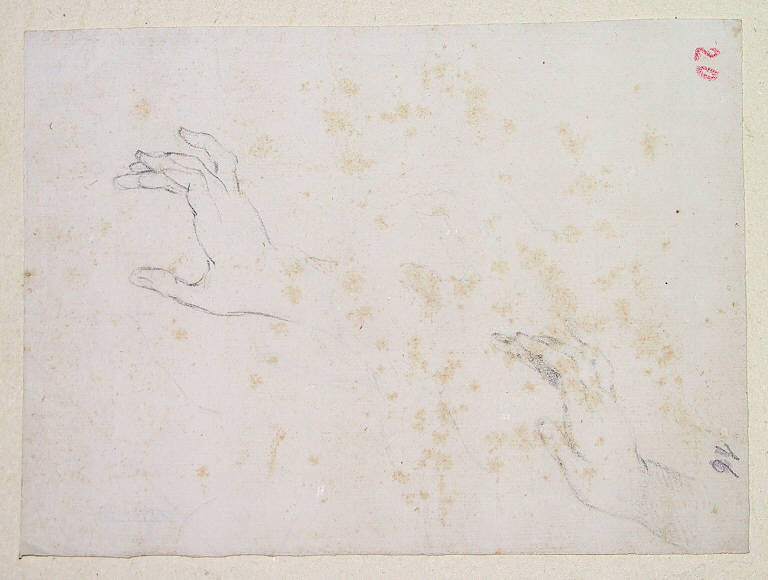 Mani/ Nudo infantile (disegno) di Ligari Cesare (sec. XVIII)