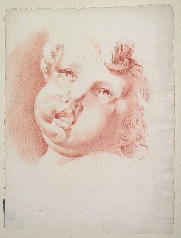 Putto (disegno) di Ligari Giovanni Pietro (prima metà sec. XVIII)