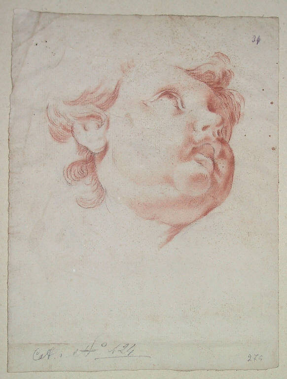 Putto (disegno) di Ligari Giovanni Pietro (prima metà sec. XVIII)