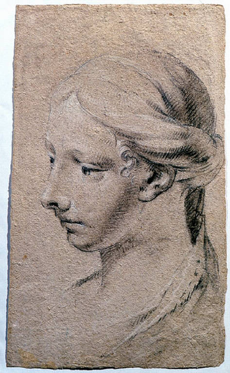 Testa di donna (disegno) di Ligari Giovanni Pietro (prima metà sec. XVIII)