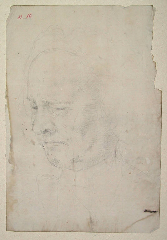 testa d'uomo (disegno) di Ligari Giovanni Pietro (prima metà sec. XVIII)