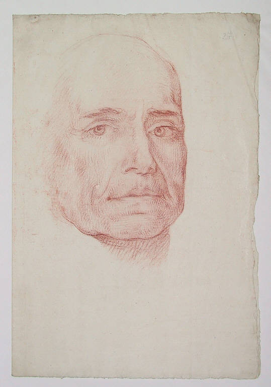 testa d'uomo (disegno) di Ligari Giovanni Pietro (secondo quarto sec. XVIII)