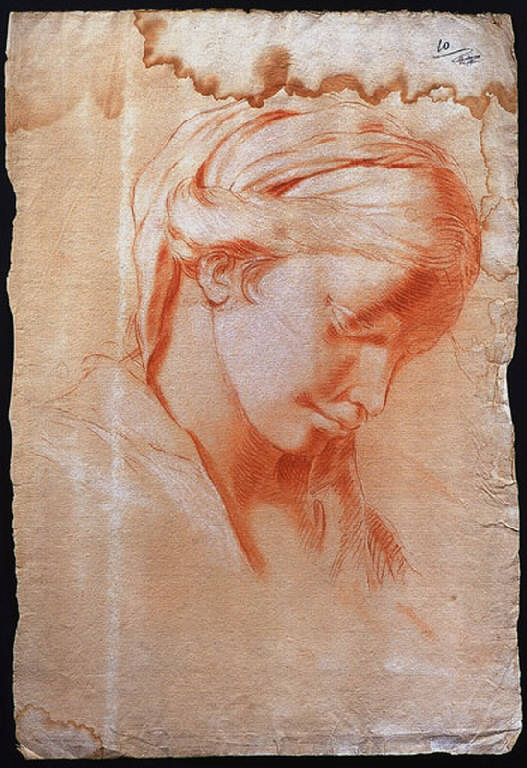 Testa di donna (disegno) di Ligari Giovanni Pietro (sec. XVIII)