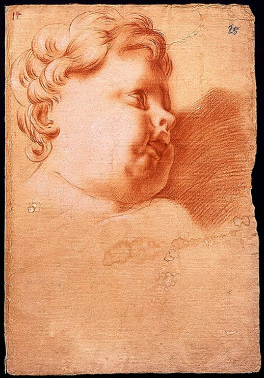 Putto (disegno) di Ligari Giovanni Pietro; Ligari Cesare; Ligari Vittoria (sec. XVIII)