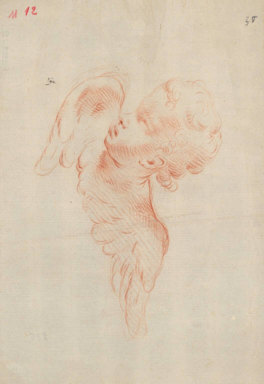 Cherubino (disegno) di Ligari Vittoria (sec. XVIII)
