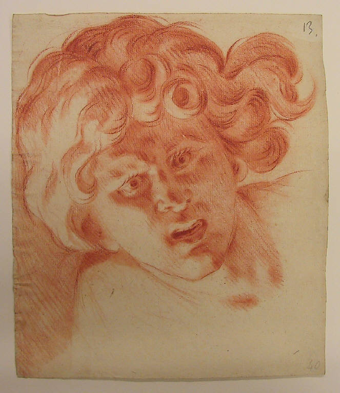 testa d'uomo (disegno) di Ligari Giovanni Pietro (inizio sec. XVIII)