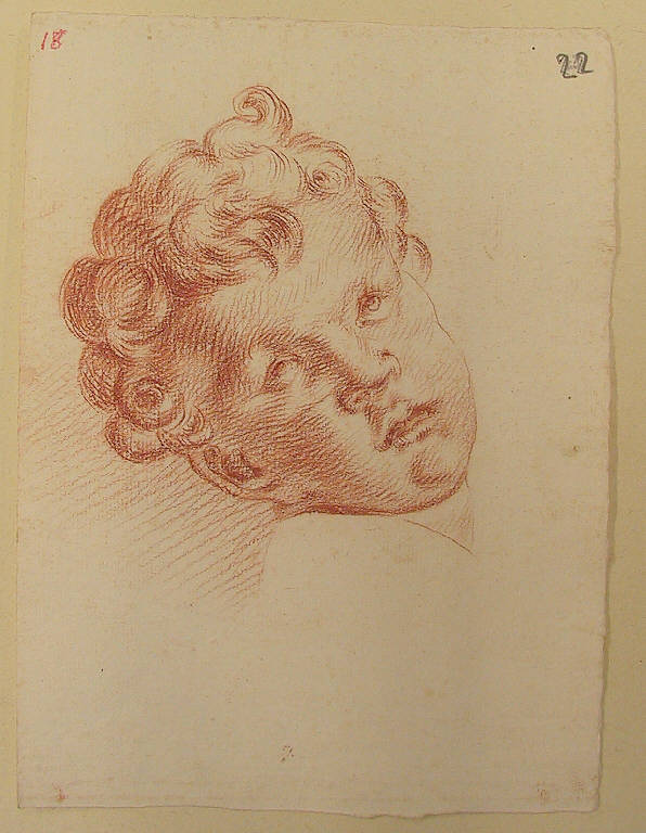 Putto (disegno) di Ligari Cesare (sec. XVIII)