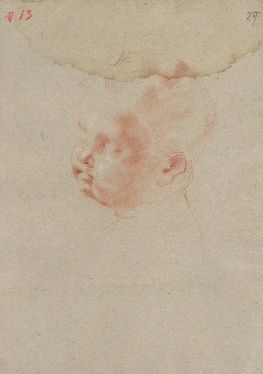 Putto (disegno) di Ligari Giovanni Pietro (prima metà sec. XVIII)