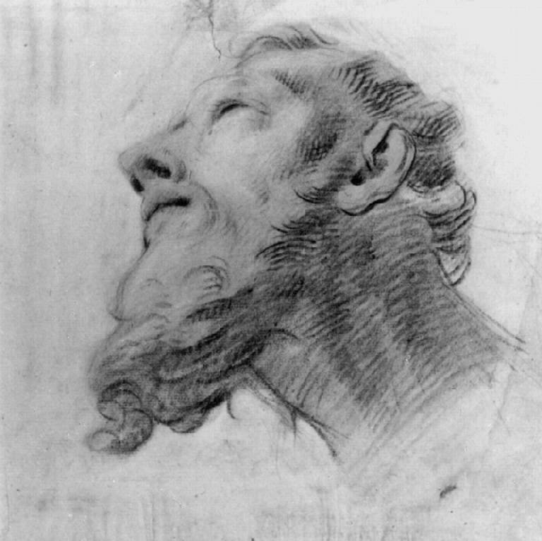 Testa barbuta (disegno) di Ligari Giovanni Pietro (secondo quarto sec. XVIII)