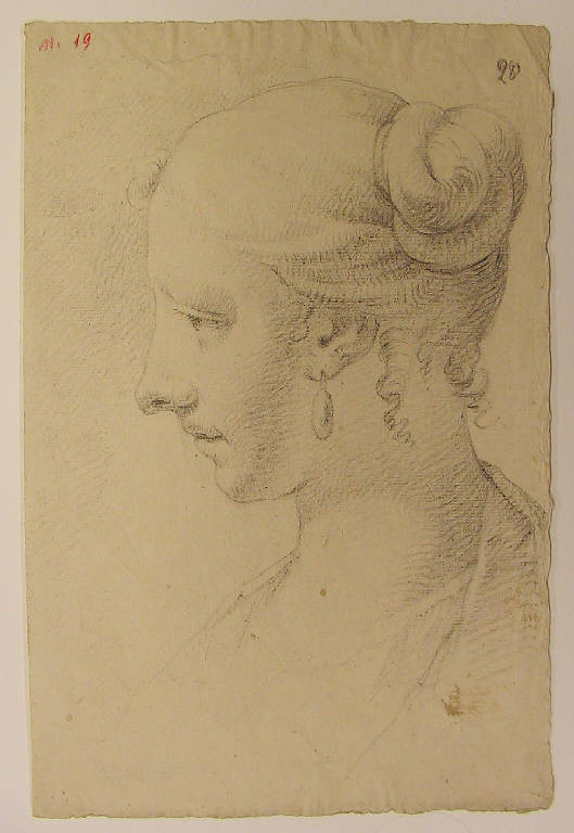 Testa di donna (disegno) di Ligari Cesare (sec. XVIII)