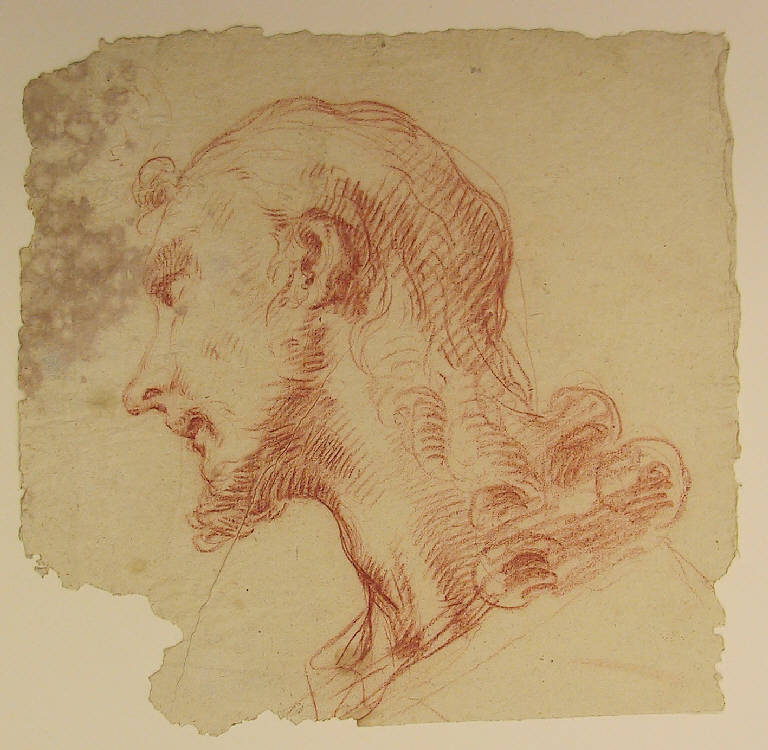 Testa d'uomo di profilo (disegno) di Ligari Cesare (metà sec. XVIII)