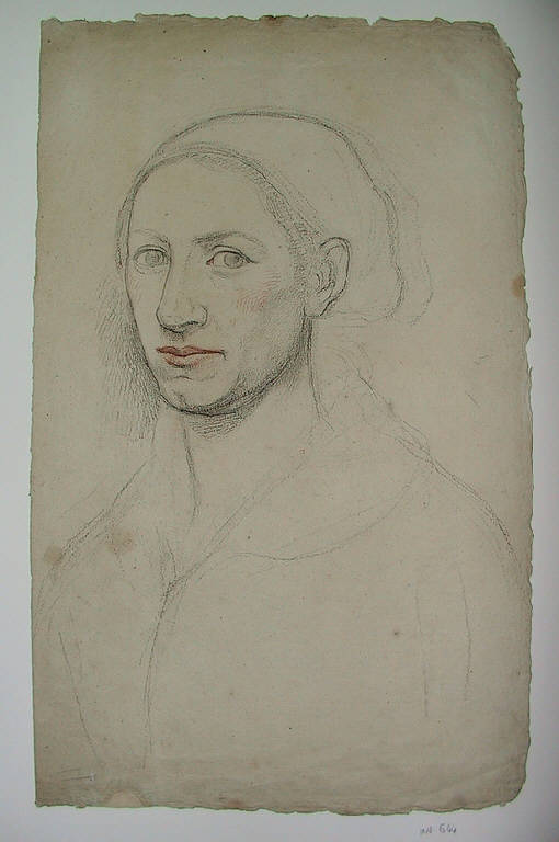 Testa di donna (disegno) di Ligari Angelo (sec. XIX)