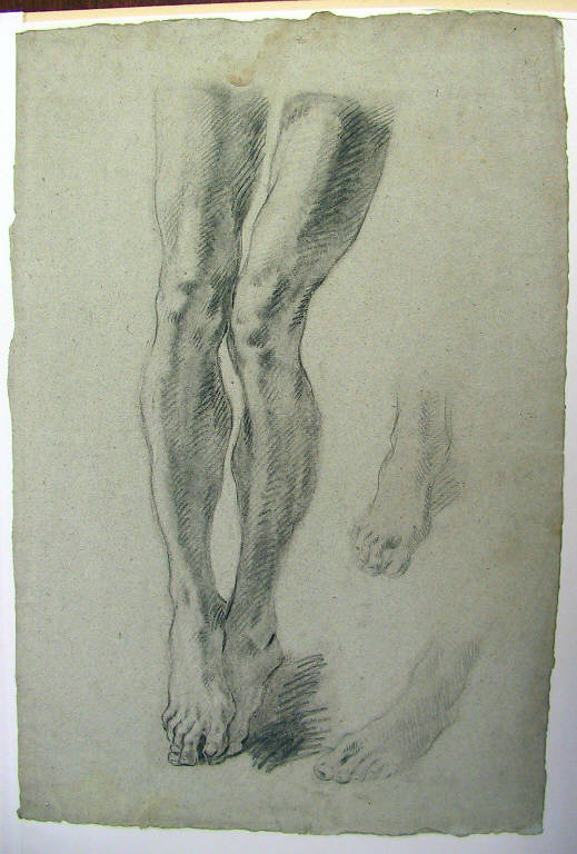 Gambe (disegno) di Ligari Cesare (sec. XVIII)