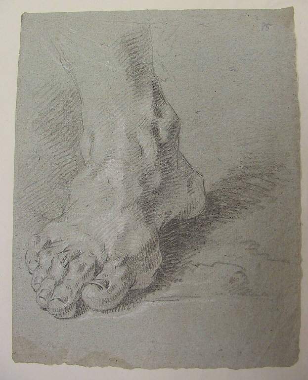 Piede (disegno) di Ligari Cesare (terzo quarto sec. XVIII)