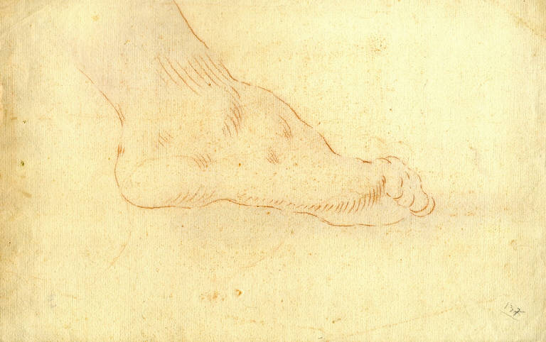 Piede (disegno) di Ligari Cesare (prima metà sec. XVIII)